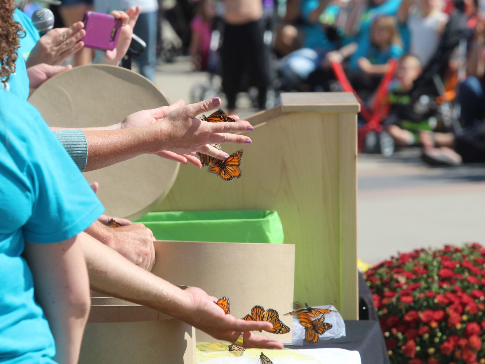 090918jr-butterfly-release-3